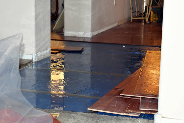 Professional Water Damage technician working in Hinckley, IL
